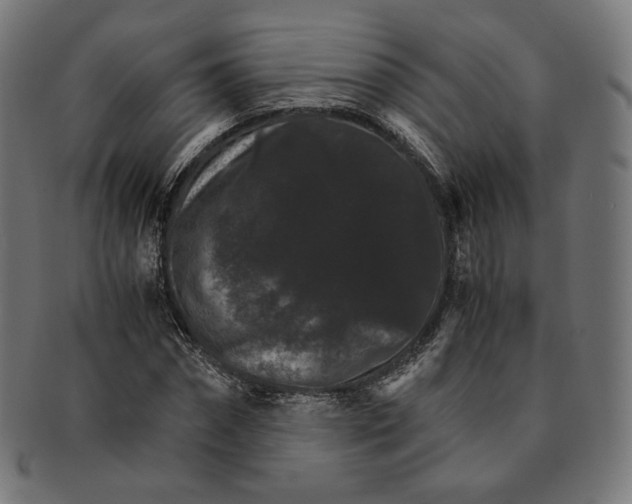 X0000091180874200709060951