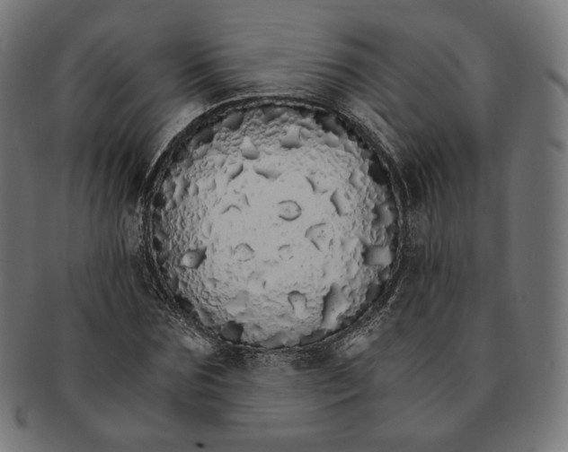 X0000091180875200709060951
