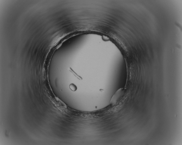 X0000091180876200709060951