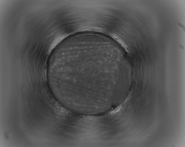 X0000091180877200709060951