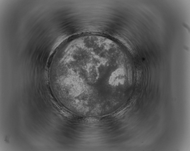 X0000091180878200709060951