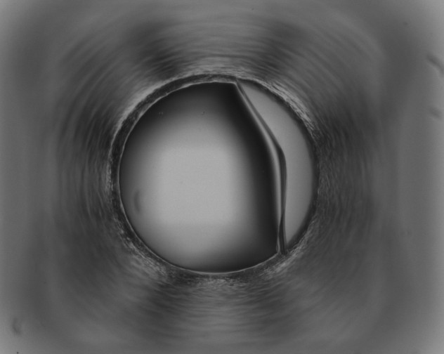 X0000091180880200709060951