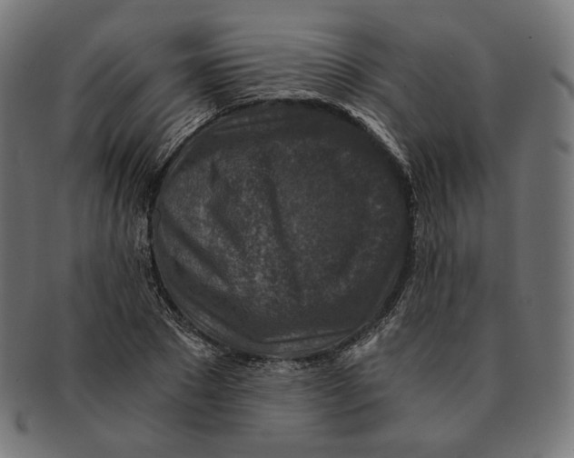 X0000091180881200709060951