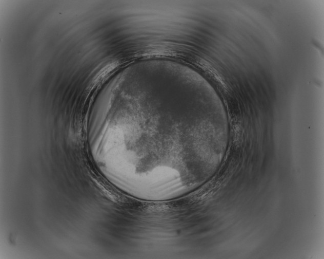 X0000091180882200709060951