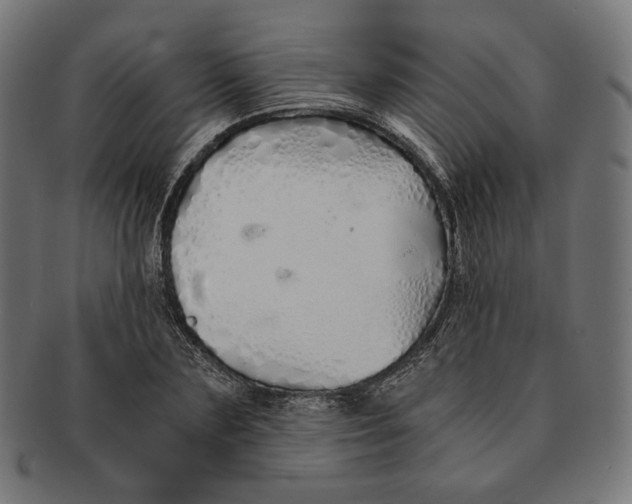 X0000091180883200709060951