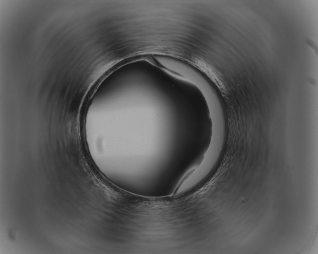 X0000091180884200709060951