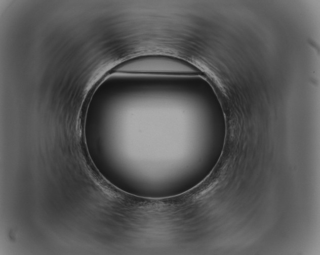 X0000091180885200709060951