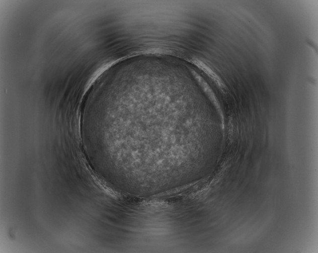 X0000091180886200709060951