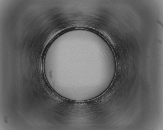 X0000091180887200709060951