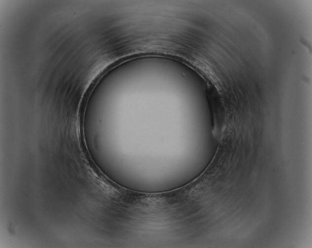 X0000091180888200709060951