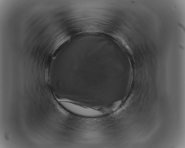 X0000091180889200709060951