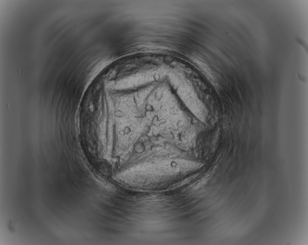 X0000091180891200709060951