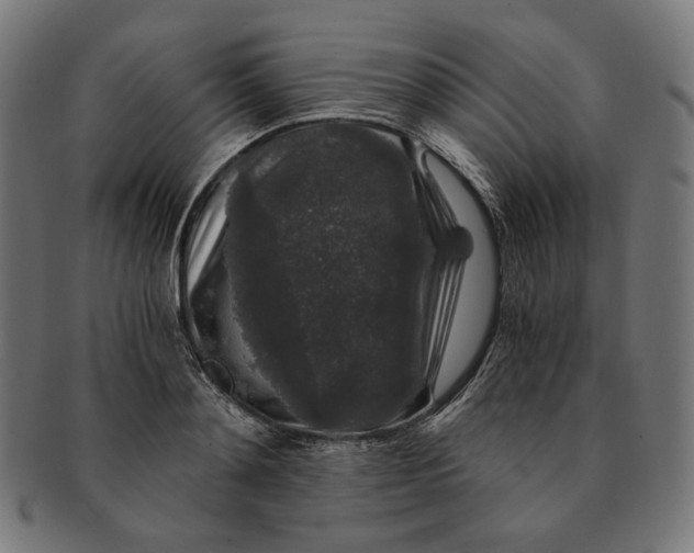 X0000091180892200709060951