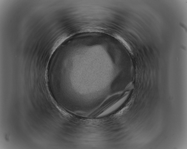 X0000091180893200709060951