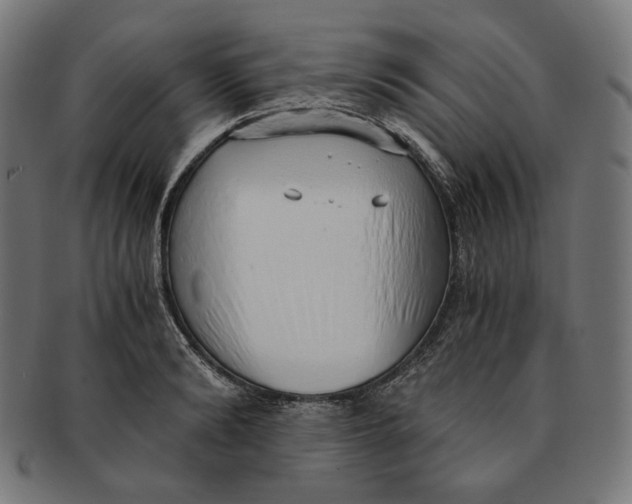 X0000091180894200709060951