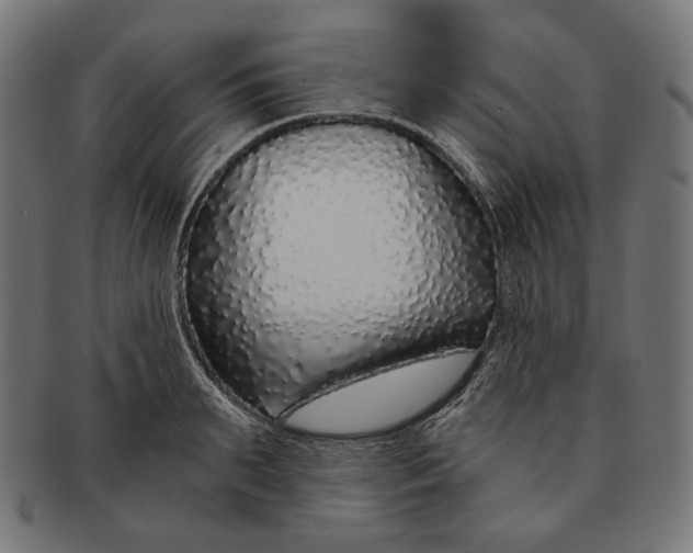 X0000091180895200709060951
