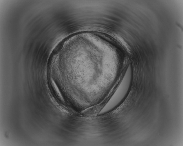 X0000091180896200709060951