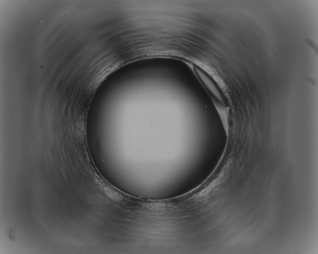 X0000091180897200709060951