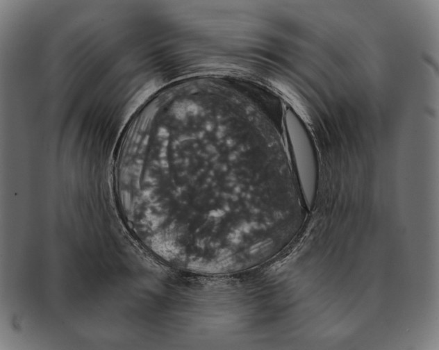 X0000091180899200709060951