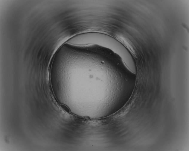 X0000091180900200709060951