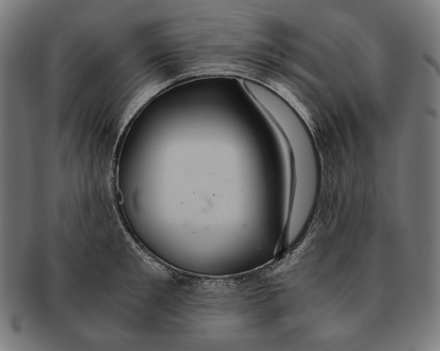 X0000091180901200709060951
