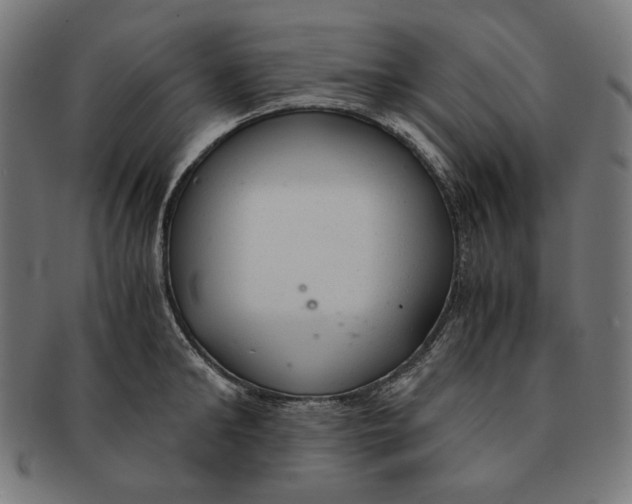 X0000091180902200709060951
