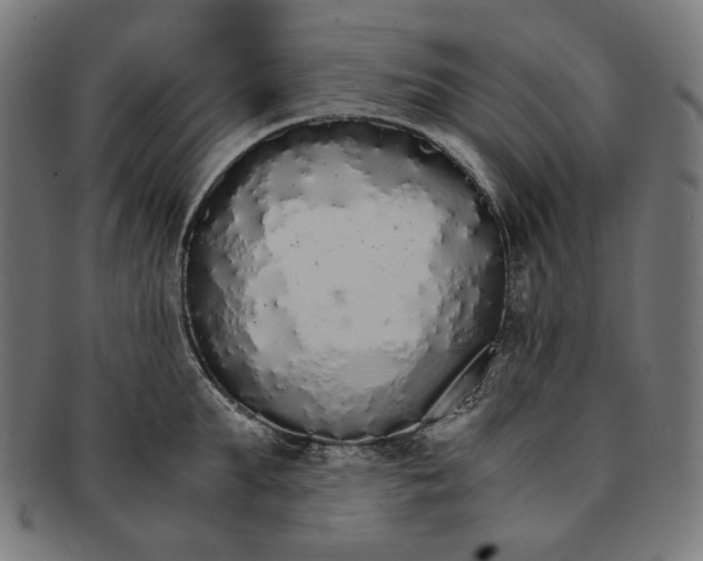 X0000091180903200709060951