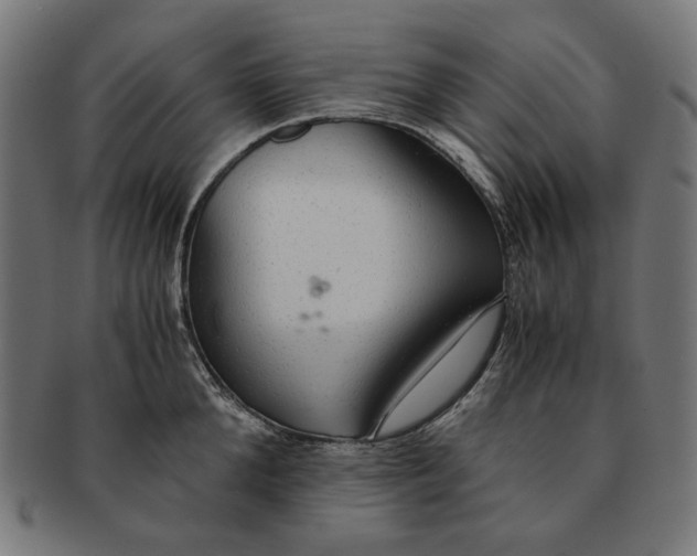 X0000091180904200709060951