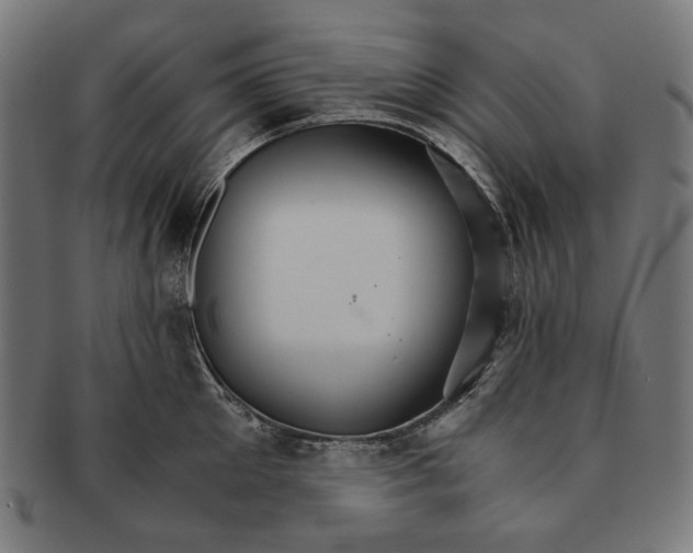X0000091180905200709060951