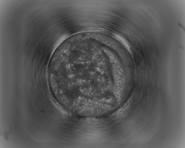 X0000091180907200709060951