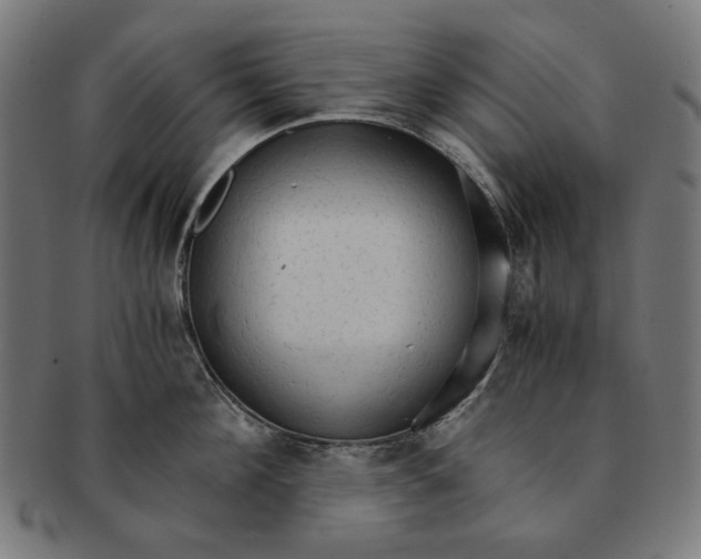 X0000091180908200709060951