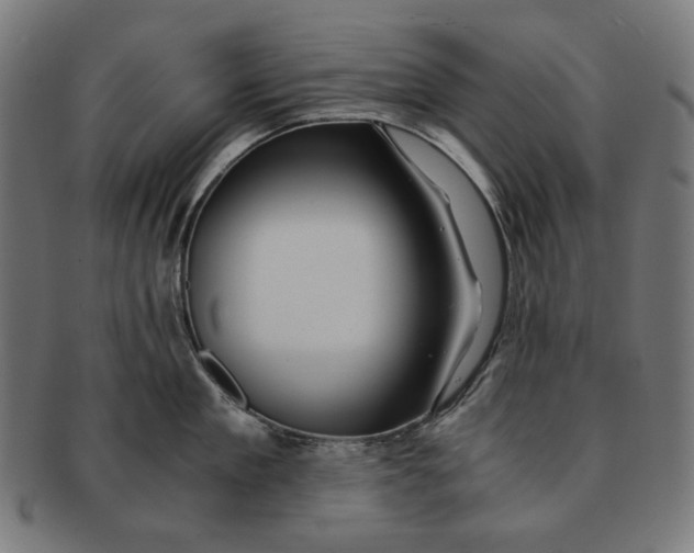 X0000091180909200709060951