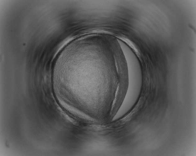 X0000091180910200709060951