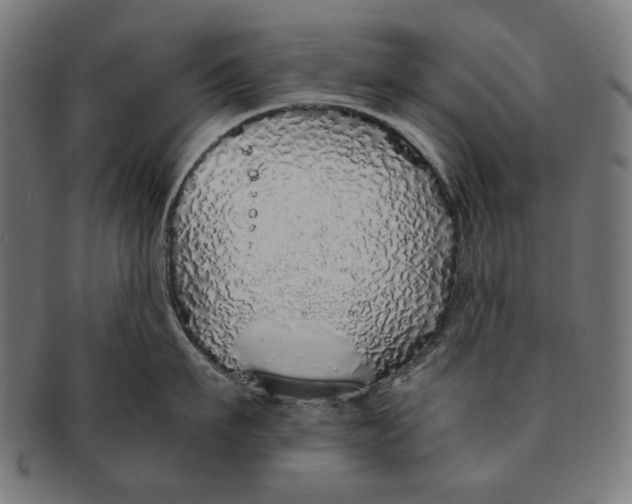 X0000091180911200709060951