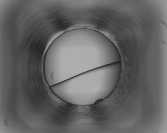 X0000091180912200709060951