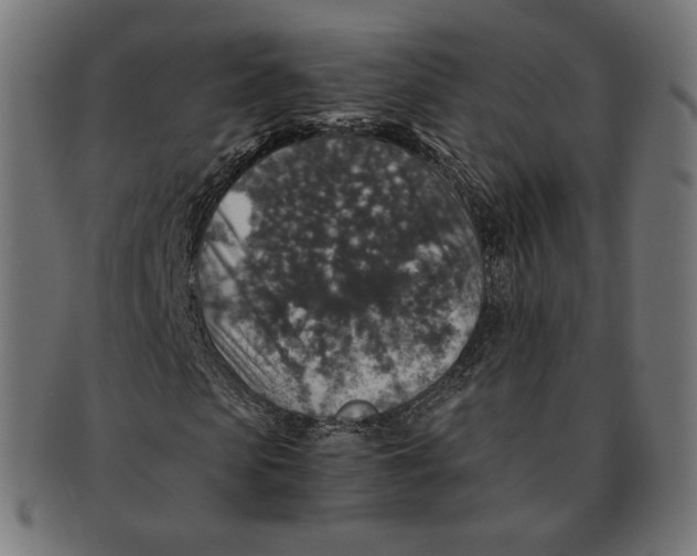 X0000091180913200709060950