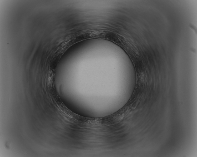 X0000091180914200709060950