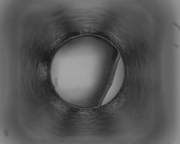 X0000091180915200709060950
