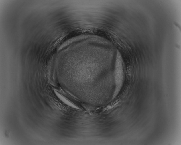 X0000091180916200709060951