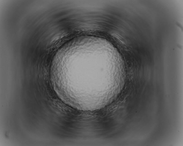 X0000091180917200709060951