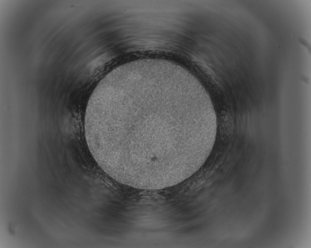 X0000091180918200709060951