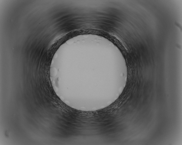 X0000091180919200709060951