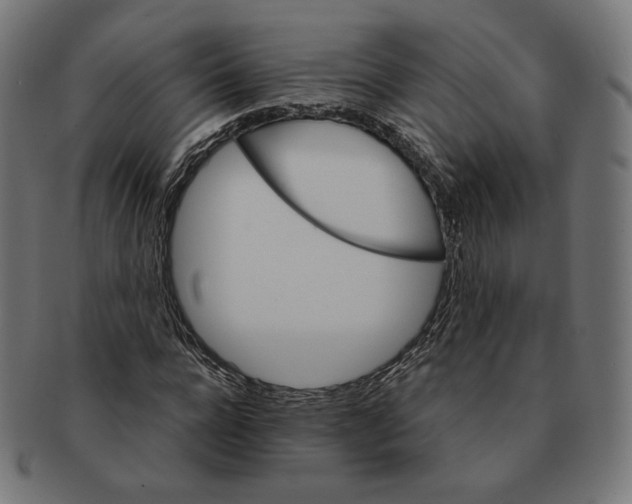 X0000091180920200709060951