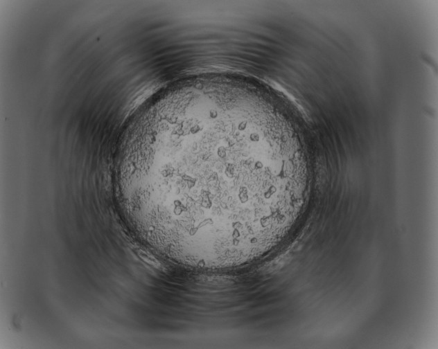 X0000091180921200709060951