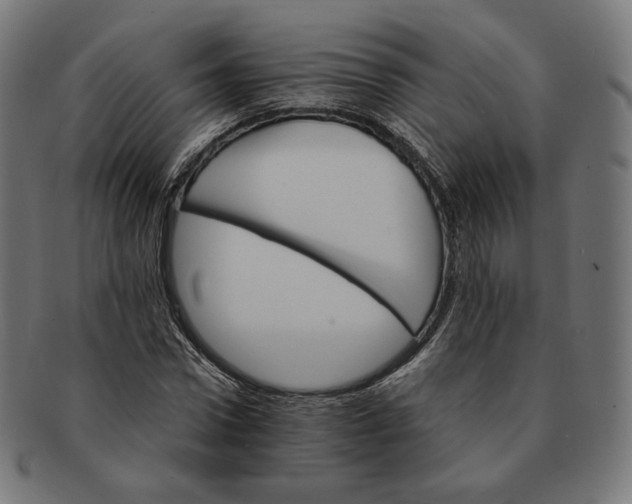 X0000091180922200709060951