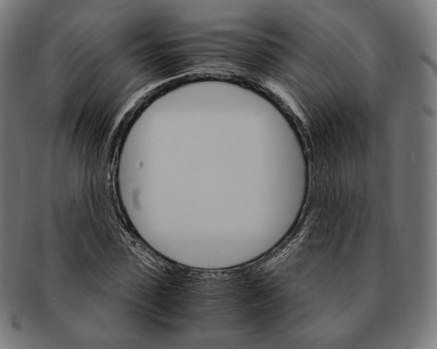 X0000091180923200709060951