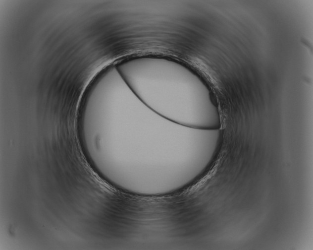 X0000091180924200709060951