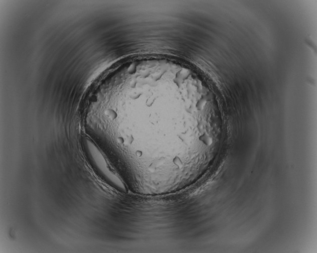 X0000091180925200709060951