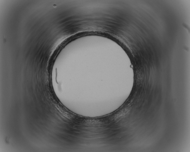 X0000091180927200709060951