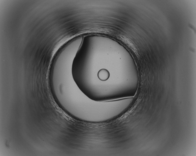 X0000091180928200709060951